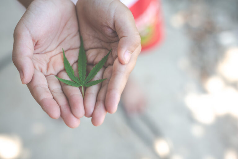 Medical Marijuana in Coral Springs: What Patients Need to Know in 2026