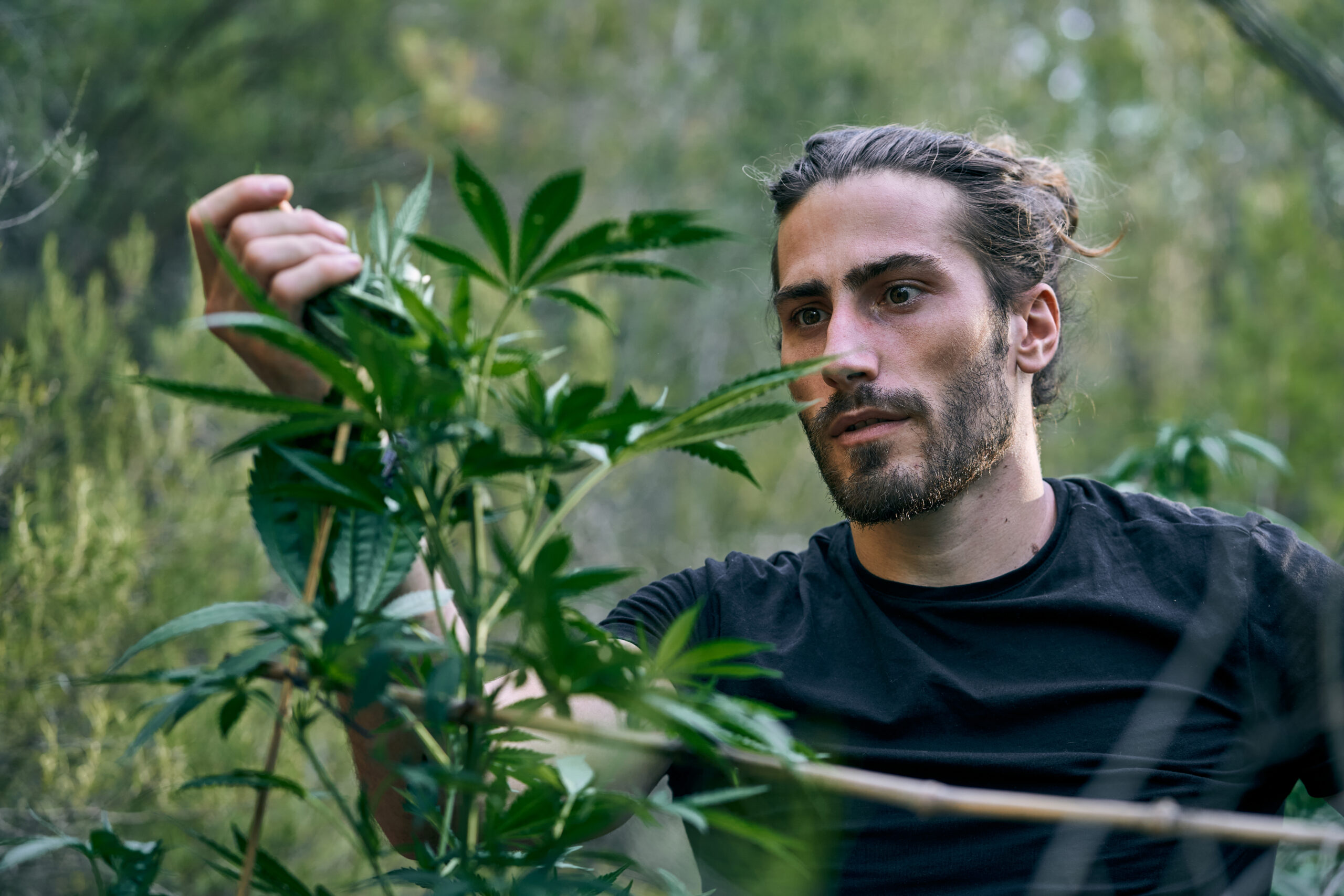 How Fast Does Medical Marijuana Work?
